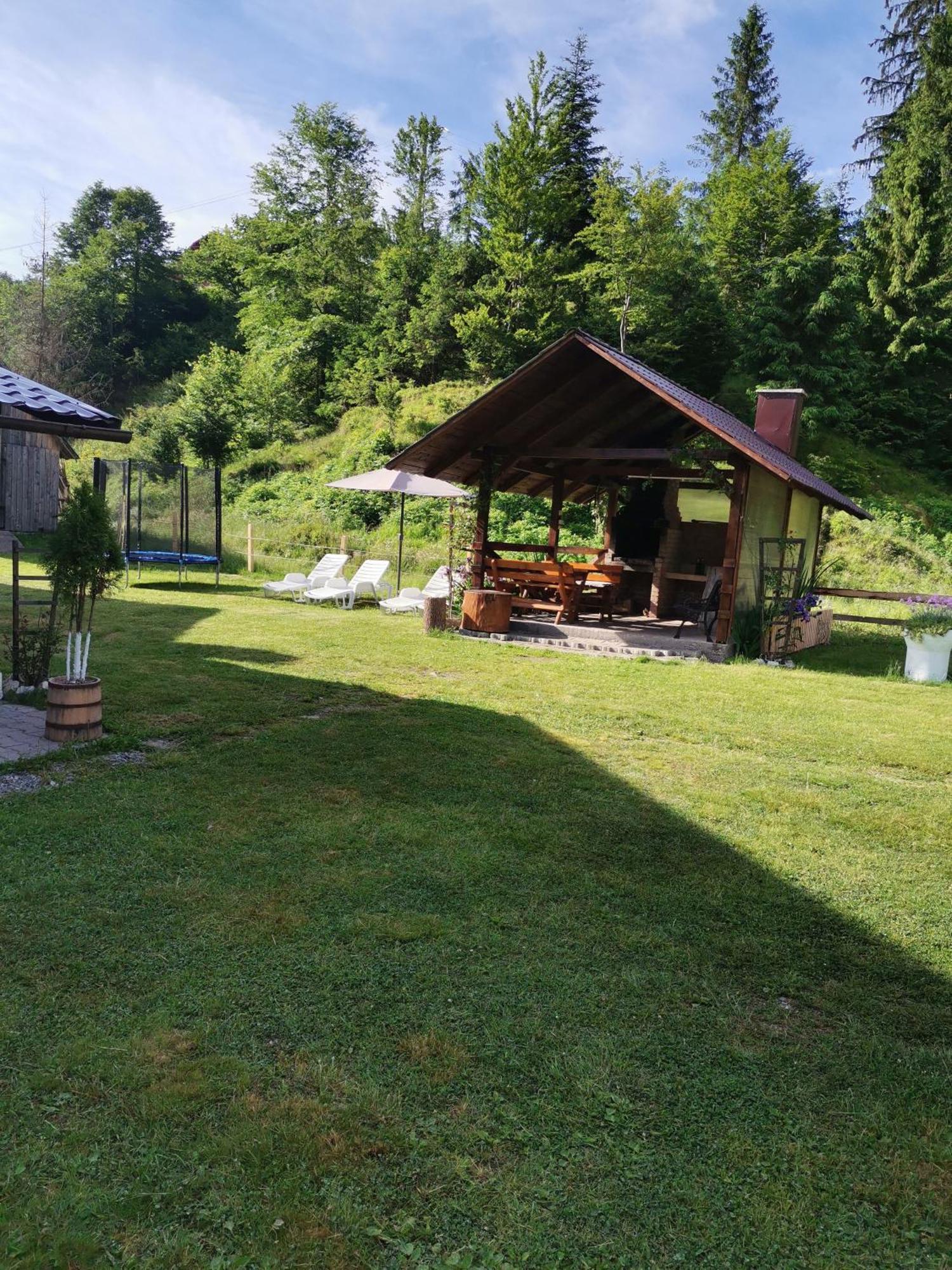 Cabana Georgiana Arieşeni Exteriör bild