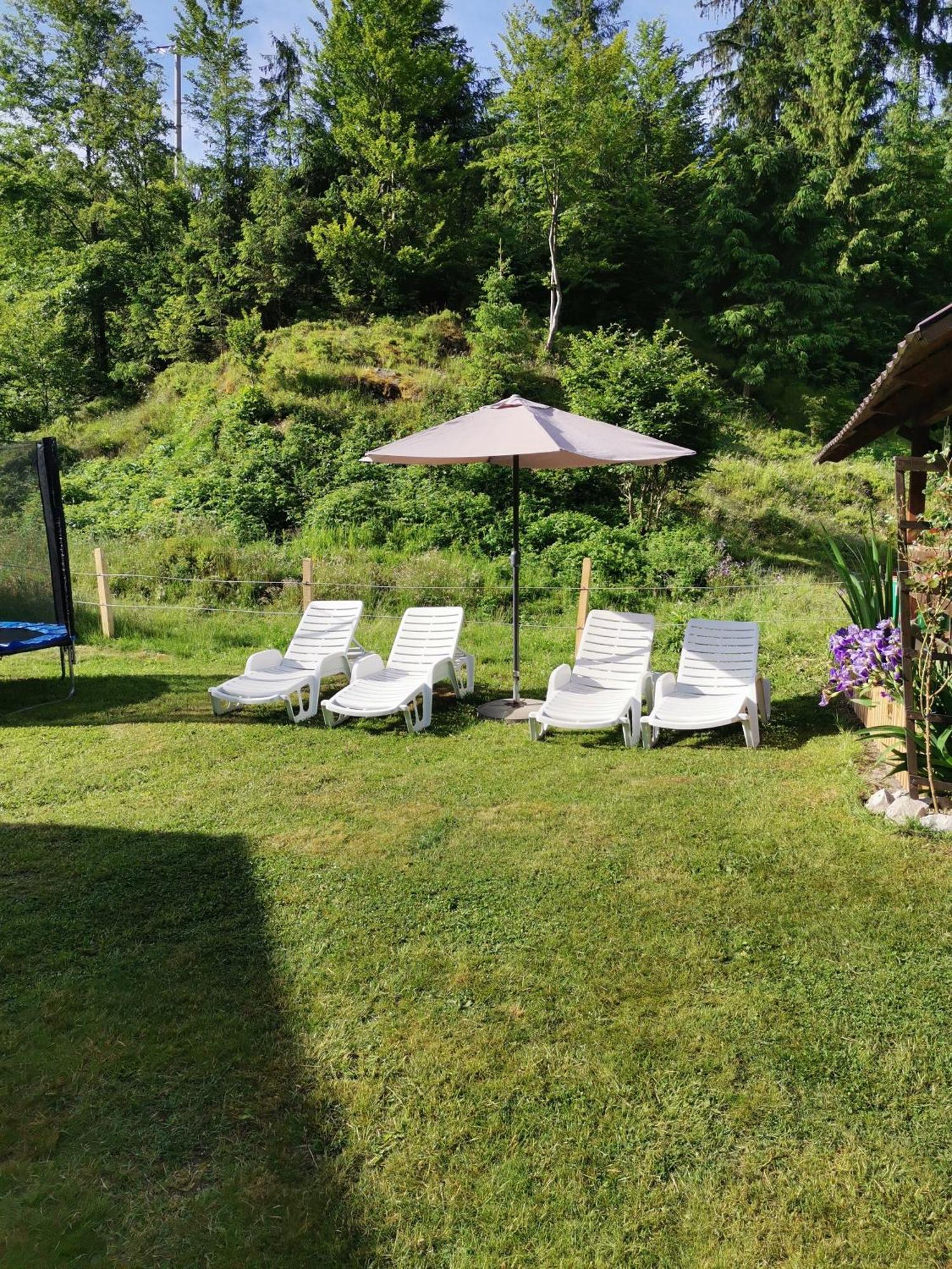 Cabana Georgiana Arieşeni Exteriör bild