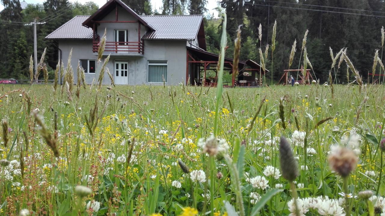 Cabana Georgiana Arieşeni Exteriör bild